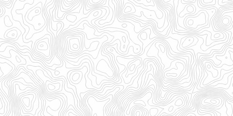 Obraz premium The vector topo map creative discovery White wave grid stripe line map topography. vector geographic contour mounted map background. 