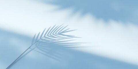 A delicate palm leaf shadow cast on a light blue surface, a minimalist and natural backdrop for design inspiration