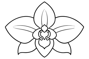 Orchid flower Intricate, symmetrical petals with a distinct central lip vector silhouette on a white background