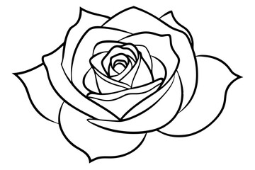 Classic Flowers Rose,A bloom with layered petals, iconic spiraling patterns, and sharp thorns on the stem vector silhouette on a white background