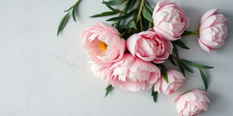 Obraz premium A Delicate Arrangement of Pastel Pink Peonies with Lush Green Foliage on a White Marble Surface