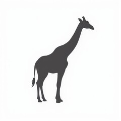 Fototapeta premium Elegant giraf silhouette with a focus on its long neck and unique profile