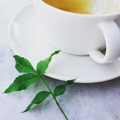 green leaf with a cup of coffee