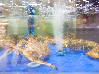 fresh fish and seafood in supermarket	
