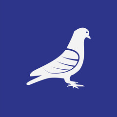 The pigeon design is hand drawn with Illustrator