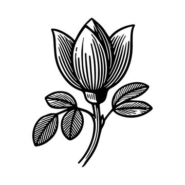 Simple Vector Icon of a Flor de Ceibo &ndash; Logo Design Illustration