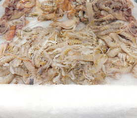 fresh fish and seafood in supermarket	