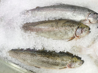 fresh fish and seafood in supermarket	