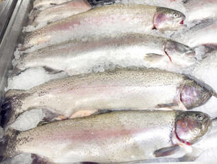 fresh fish and seafood in supermarket	