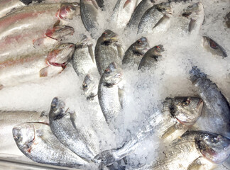 fresh fish and seafood in supermarket	