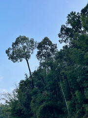 Khao Sok National Park, Thailand