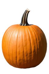 A large orange pumpkin with a green stem