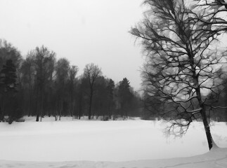 Right align tree on winter lake landscape illustration