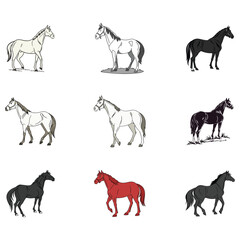 horse vector art and illustration 