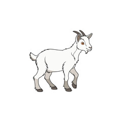 goat vector art and illustration