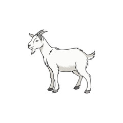 goat vector art and illustration