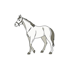 horse vector art and illustration 