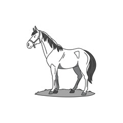 horse vector art and illustration 