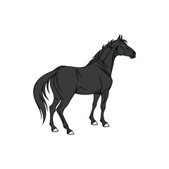 horse vector art and illustration 