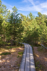 A wooden walking trail in the forest. A wooden hiking road in the forest. Photo