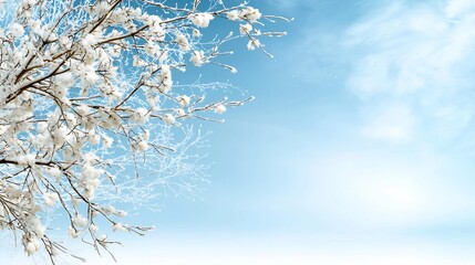 Captivating Winter Studio Background with Frosted Branches and Softly Falling Snowflakes