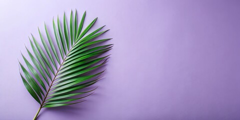 Fototapeta premium Single Palm Frond on Lavender Background, Minimalist Nature Scene with Copy Space