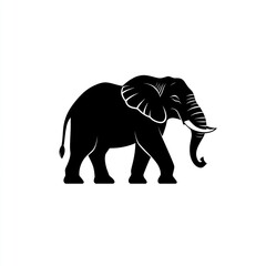 Obraz premium Silhouette of an African elephant.