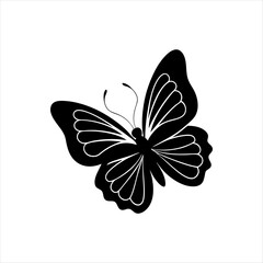 A silhouette of a butterfly gently landing on a flower highlighting its delicate nature