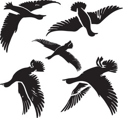 American wigeon flying 
poses silhouette set black and white logo
