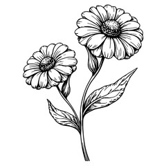 Sketch of flowers representing seasonal allergies, black and white art