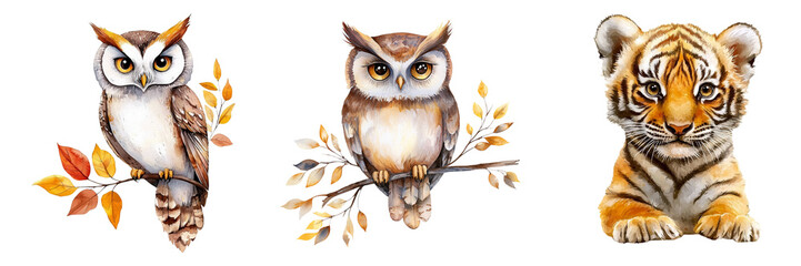 Obraz premium cute animal concept. Three illustrated animals: owls on branches and a tiger, set against on Transparent background.