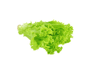 Lettuce  transparent png