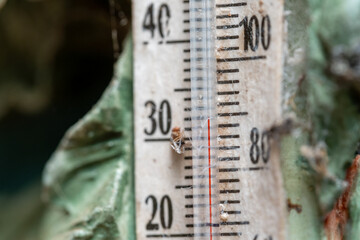 Old Thermometer close up