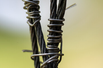 close up of barbed wire