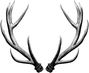 Deer antlers collage halftone bitmap element on transparent background, Deer Antlers y2k collage element, Animal Horns grunge photocopy magazine clipping with isolated clipping path