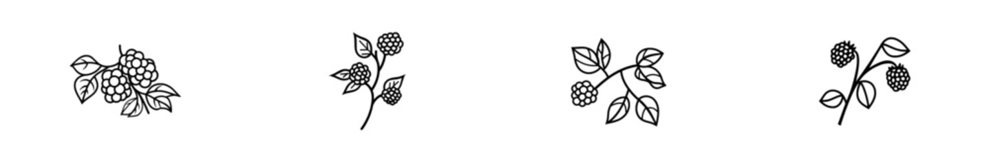 A hand-drawn ink sketch of a blackberry fruit, featuring a modern engraved style illustration.