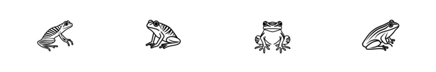 A hand-drawn ink sketch of a frog in an engraved, modern illustration style.