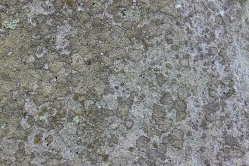 Texture pierre grès