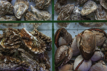 Various fresh oysters and mussels in a restaurant aquarium. Selective focus.