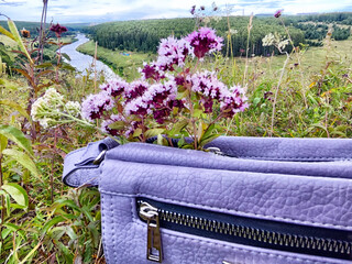 A scenic view of a river valley with wildflowers in a lavender bag during a serene afternoon in nature