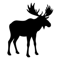 Moose silhouette vector, Animal moose vector illustration, Black & white animal moose vector art design isolated.
