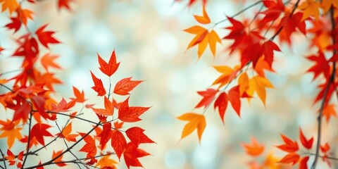Autumnal Foliage Displaying Vibrant Hues of Orange, Red, and Yellow Leaves in a Softly Focused Background