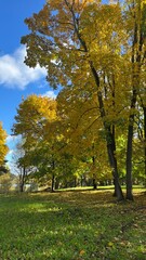 Naklejka premium Sunny day in park 