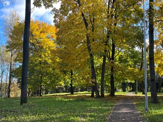 Sunny day in the park