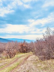 landscape with sky