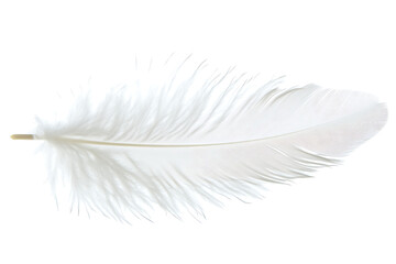 Fototapeta premium White Feather on Transparent Background for Design and Artistic Projects.