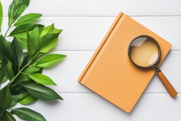 A minimalist design of a book and magnifying glass, signifying research and expertise, rendered in soft tones on a white canvas