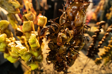 Traditional roasted chicken-pork-silk worm-crab-shrimps around the fire place 11