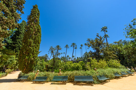 Sevilla, Spain - August 01, 2024: Patio de las Doncellas in Royal palace, Real Alcazar (built in 1360) in Seville, Andalusia, Spain. The Alc&aacute;zar of Seville, officially called Royal Alc&aacute;zar of Seville,