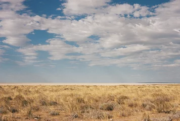  landscape in Namibia during safari trip © Sabine